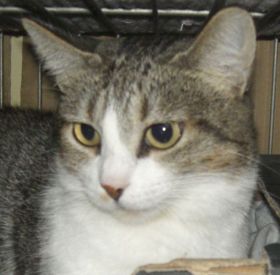 [88386357-francisca_3.jpg]