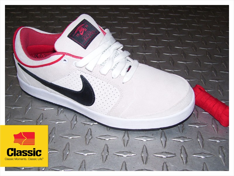 p rod nike sb shoes