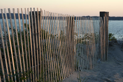 dune fence