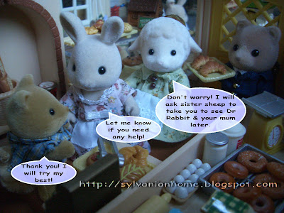 sylvanian families photo