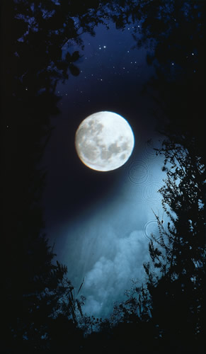 [full-moon-briars.jpg]