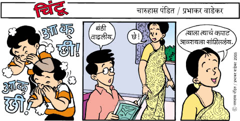 Chintoo comic strip for November 30, 2005