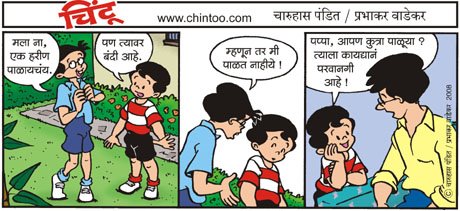 Chintoo comic strip for November 15, 2008
