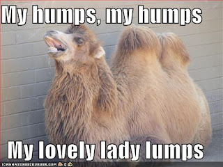 Really Hilarious Jokes - Funny Jokes: October 2009
