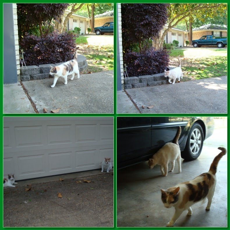 How well does your garage open work?