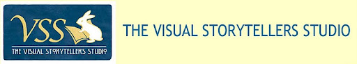 VSS Illustrator Interviews