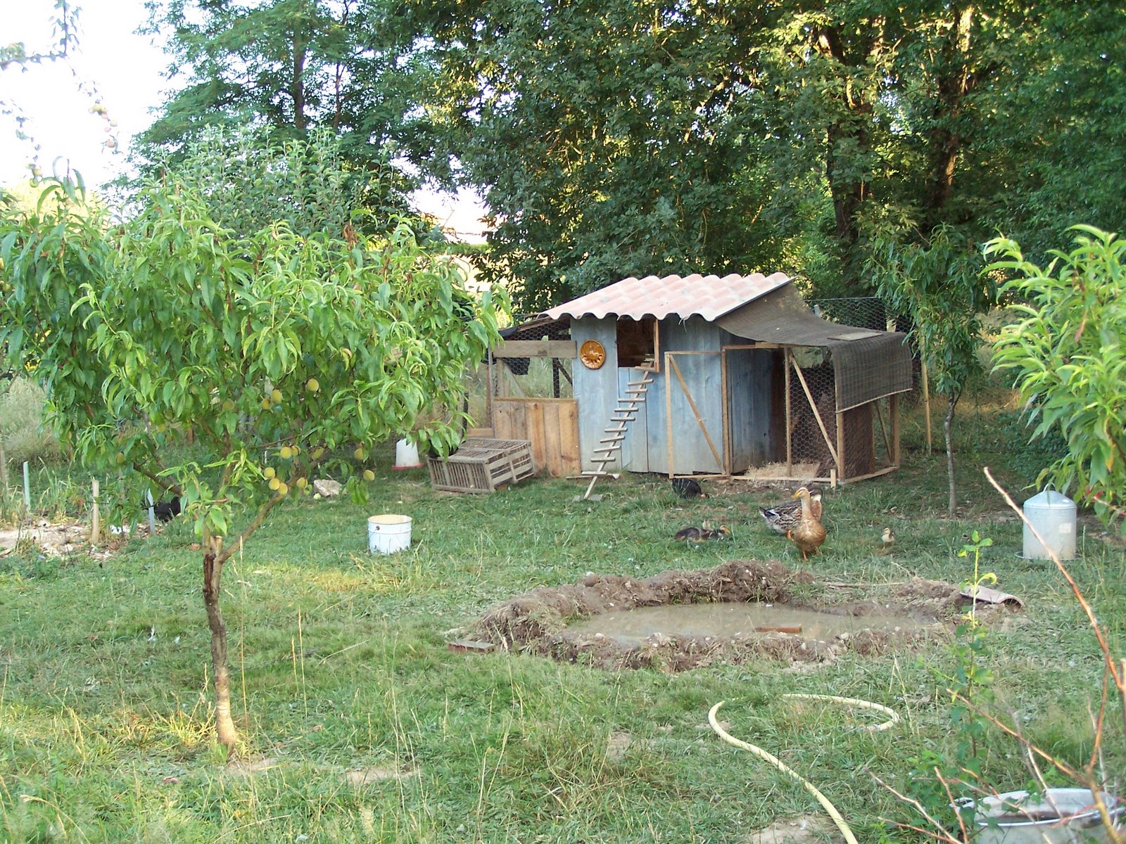 [100_0412.JPG]