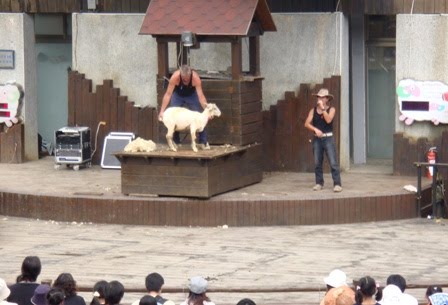 [DSC09621.JPG]