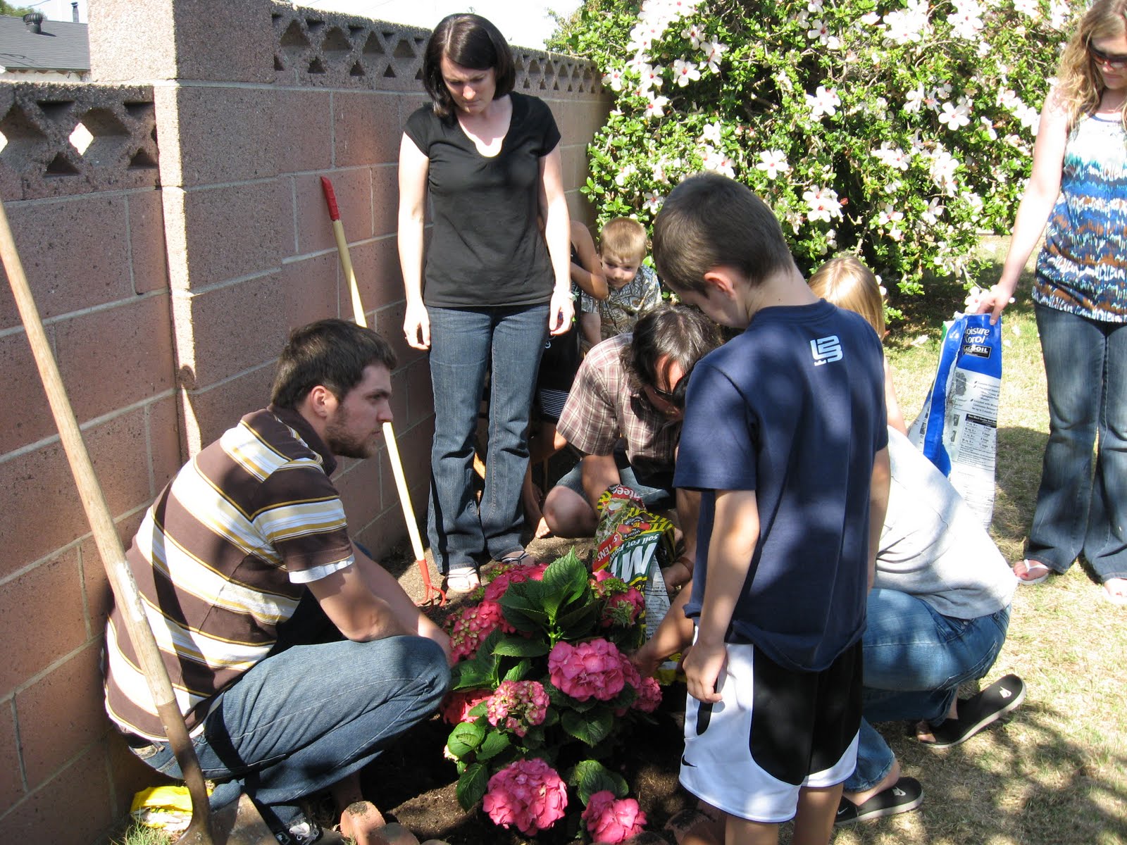 [IMG_2438.JPG]