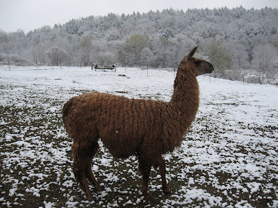 Earlville Opera House
