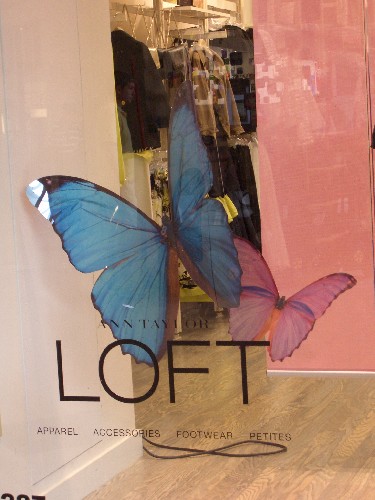 Ann Taylor Loft