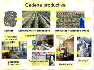 cadena productiva agroindustrial crear y emprender cadena productiva cadena productiva agroindustrial crear y emprender cadena productiva