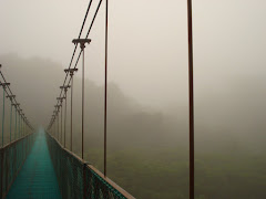 Suspended Bridge Walk by Selvatura, Monteverde, Costa Rica