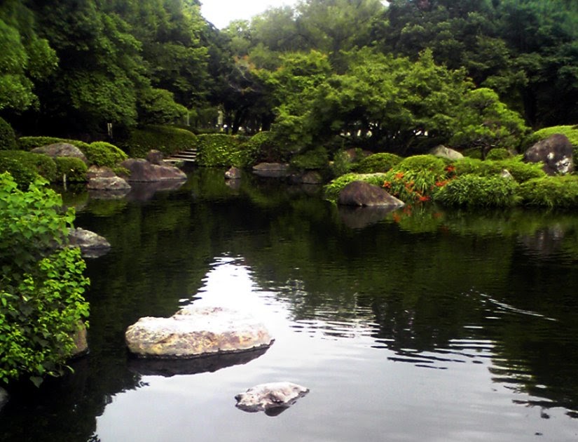 koi-pond-smells-fishy10.jpg