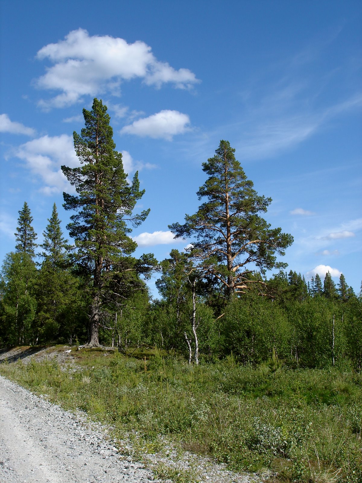 [Highest+Road+in+Sweden+8.JPG]