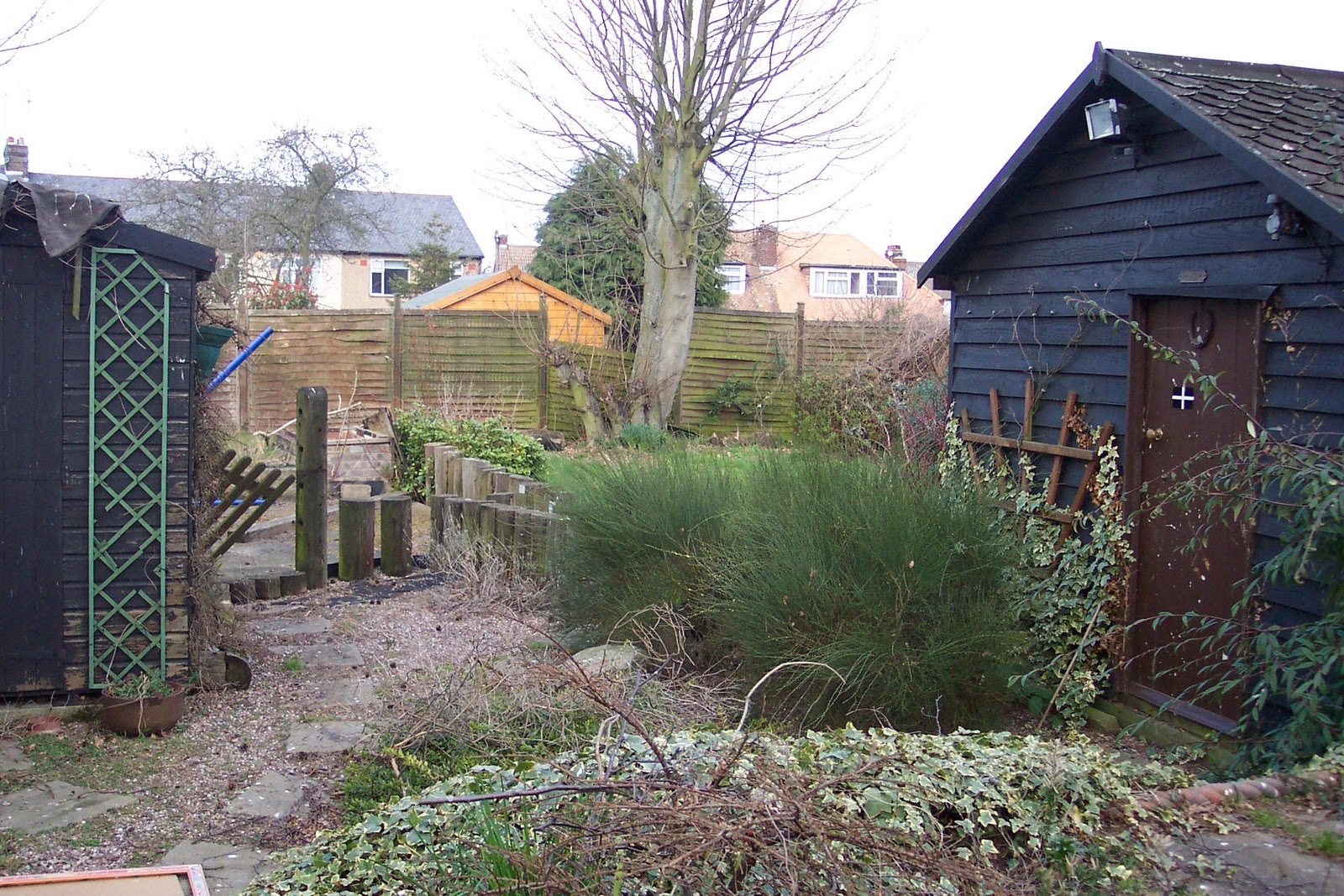 Alternative Eden Exotic Garden A History of Alternative Eden