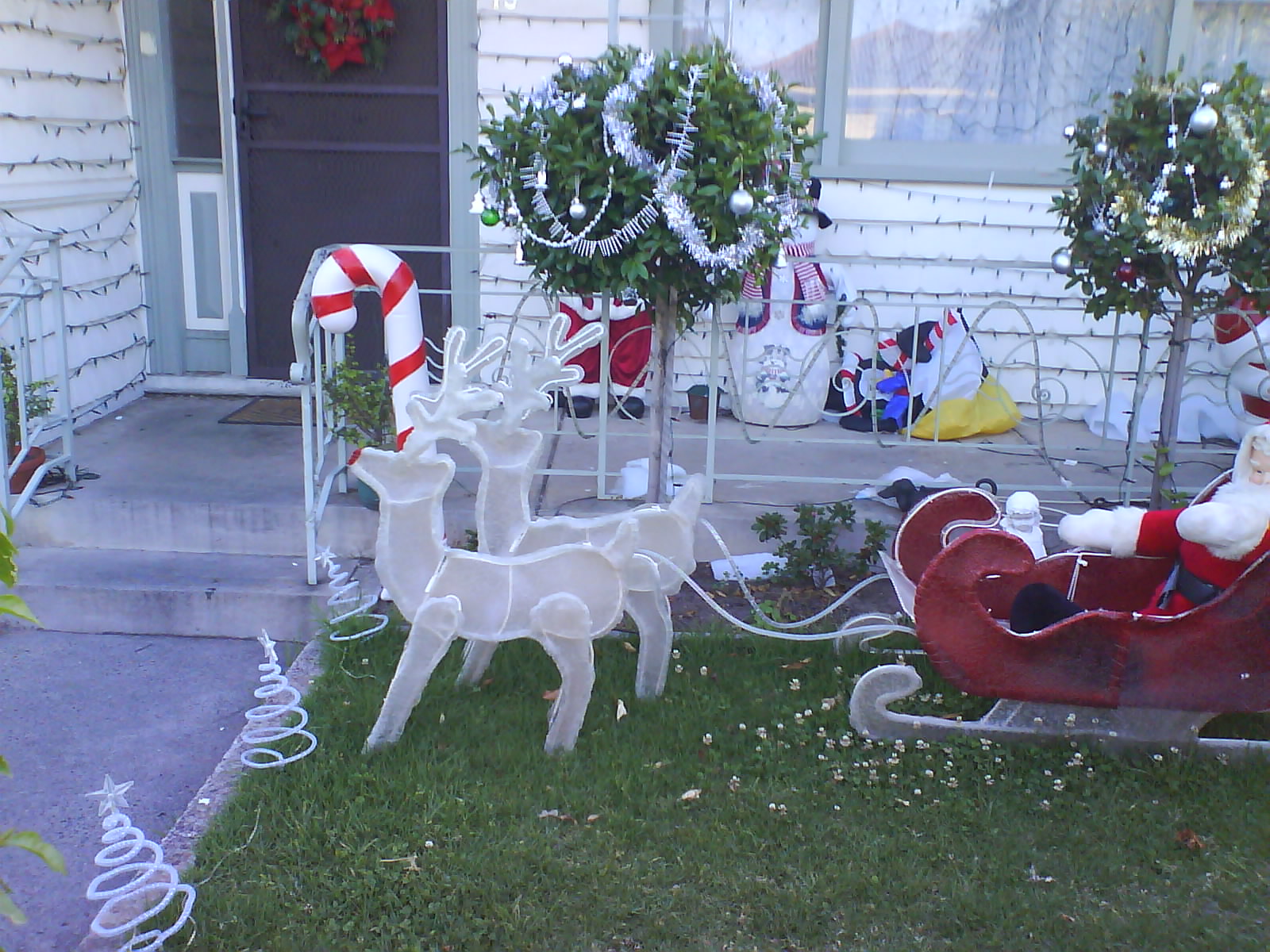 [DSC01890.JPG]