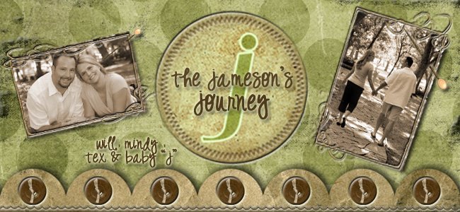 The Jameson's Journey