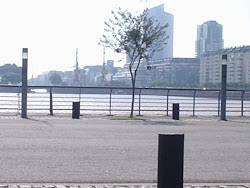 "Nunca tenhas medo de perder alguém, se for a pessoa certa ela pode ir, mas voltará. E se um dia pe