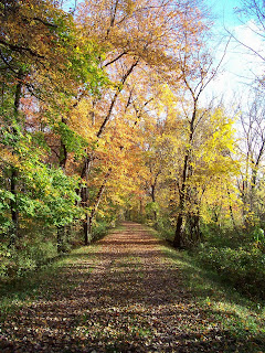 wooded path in autumn