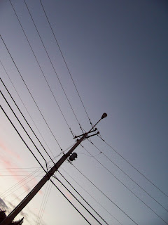 telephone pole and wires