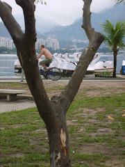 Lagoa Rodrigo de Freitas