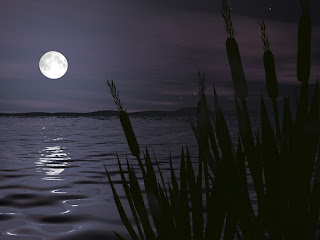 dan gece
