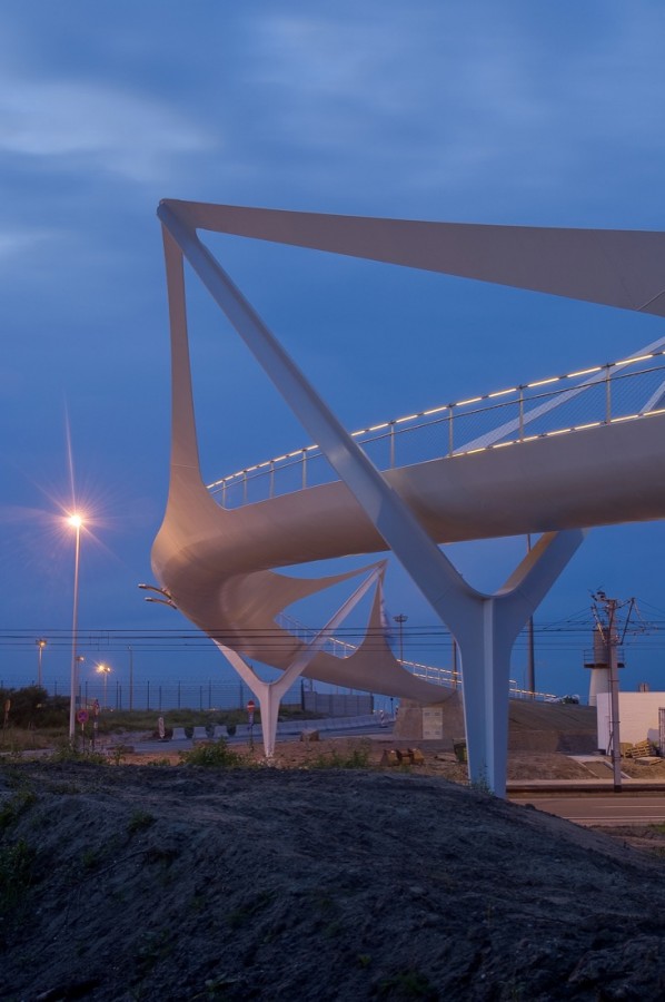 [pasarela+de+noche+2.jpg]