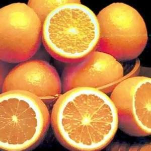 برتقال.jpg