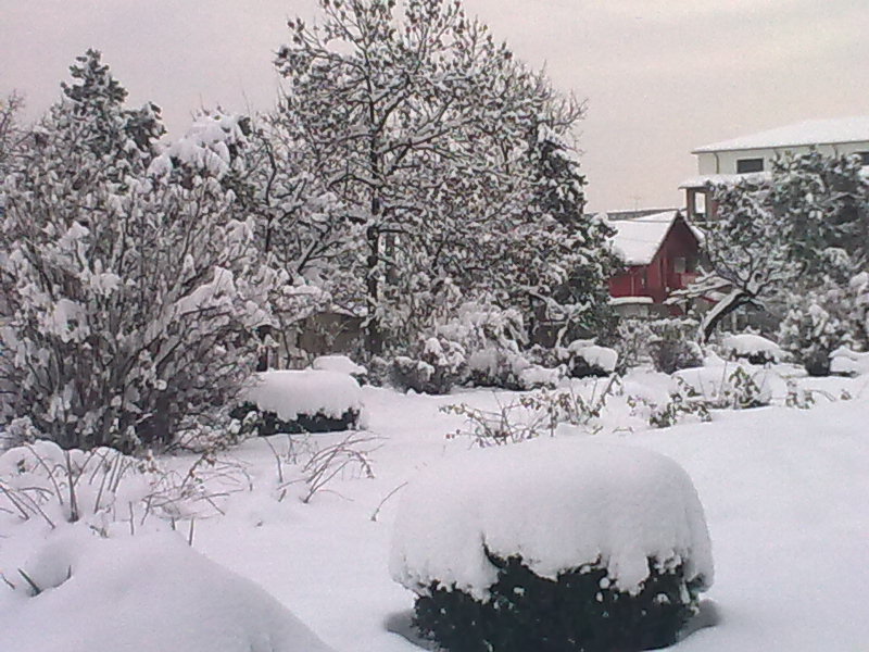 [Image0611.jpg]