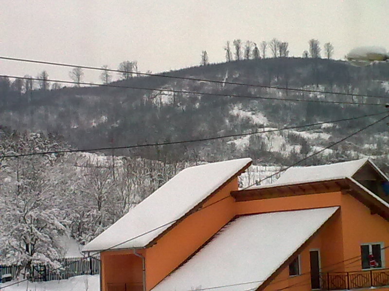 [Image0615.jpg]