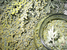 Wormwood Harvest