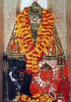 maa mansa devi wallpaper maa mansa devi wallpaper
