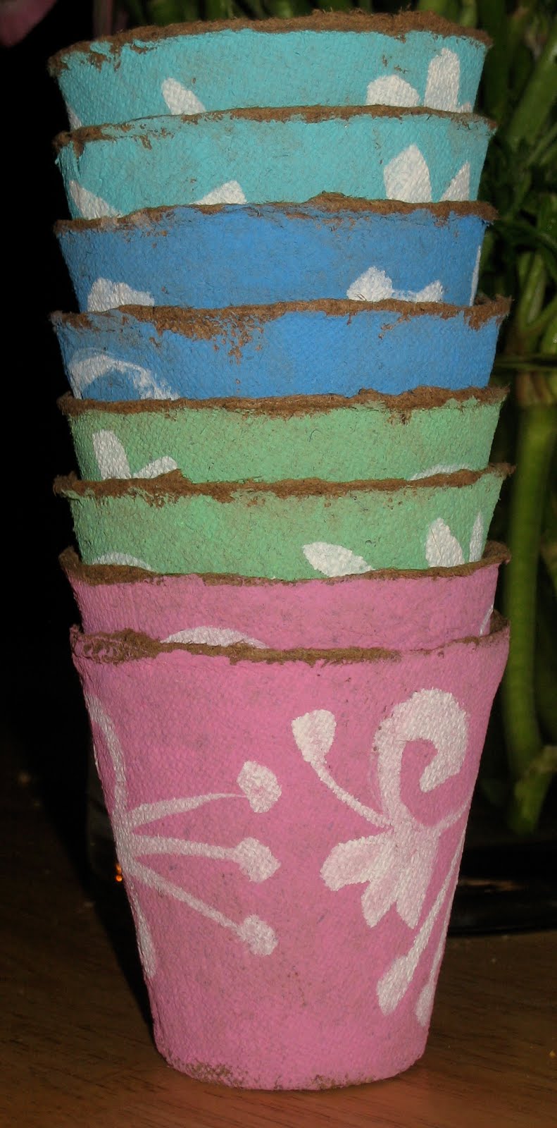 polkadotponie Peat Pots