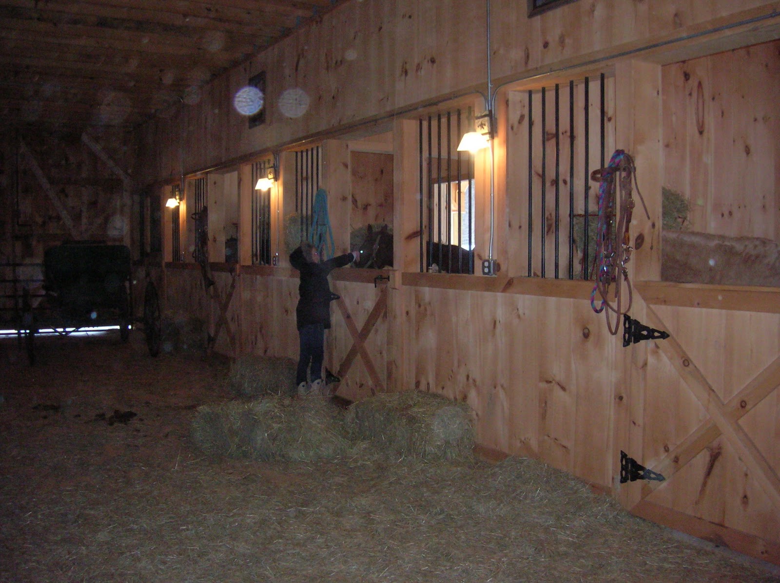 Honey Acres Farm Trying to RETIRE to the Farm