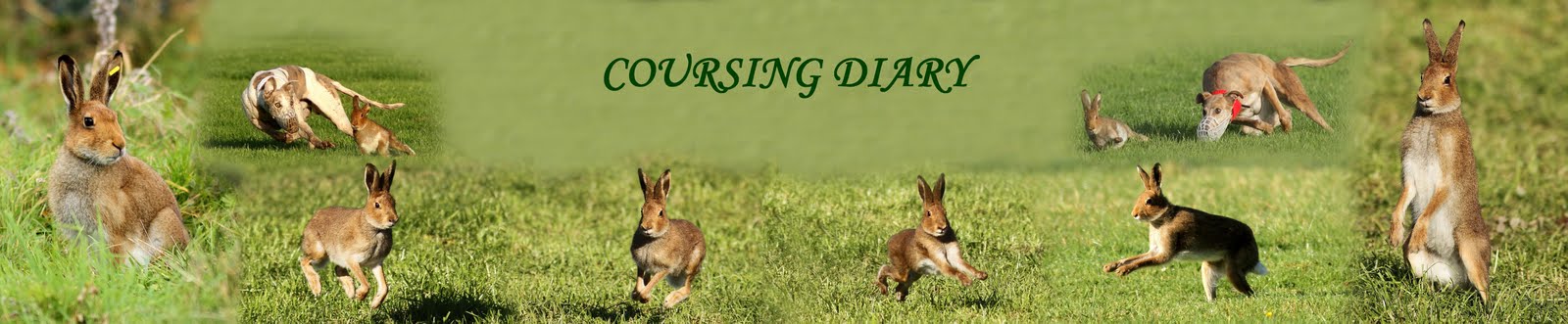 COURSING DIARY