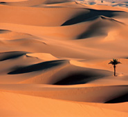 [dunes.jpg]
