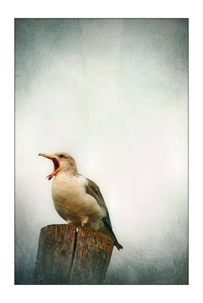 [06d0af1f7936e695f6a4a85ddf594234.jpg]