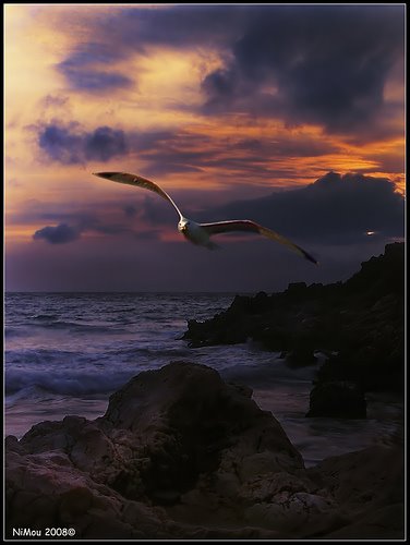 [2382852014_34c96f1131[1].jpg]
