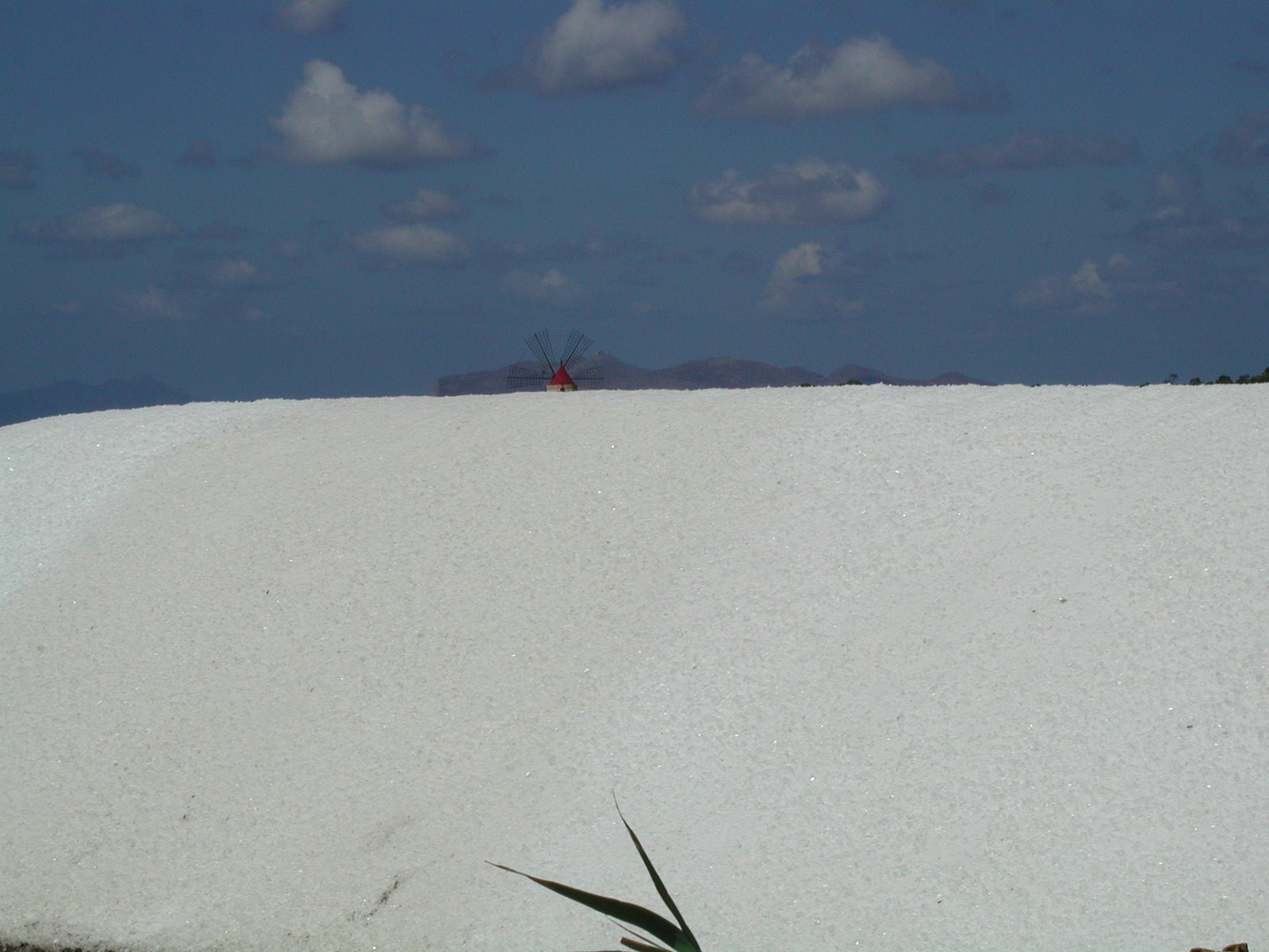 [DSCN0057.JPG]