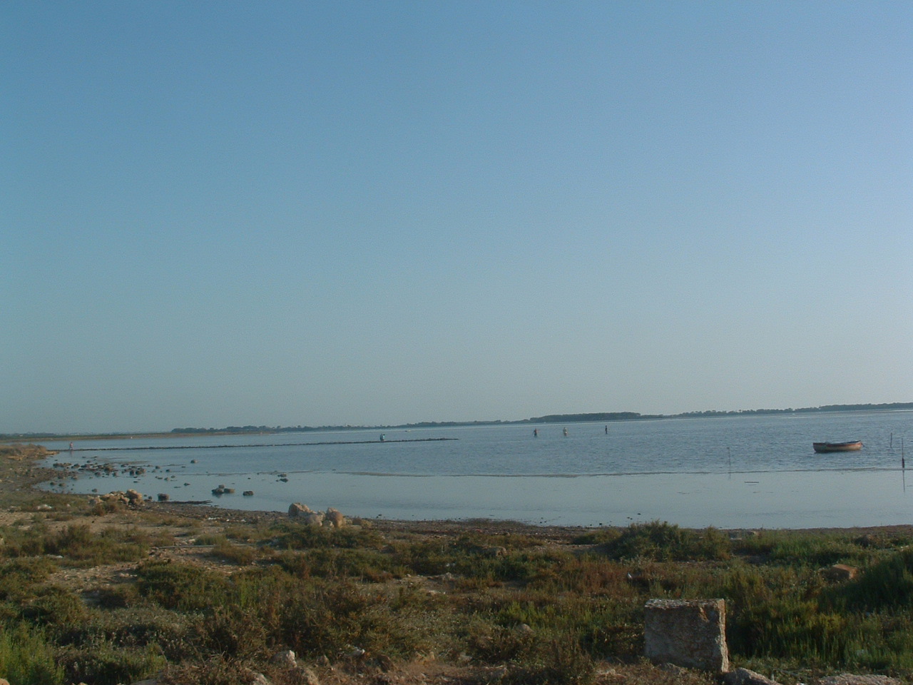 [DSCF0040.JPG]