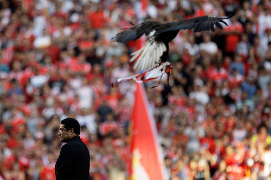 [benfica.jpg]