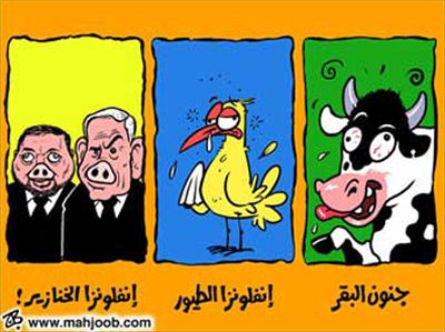 [Grippe+porcine3.jpg]