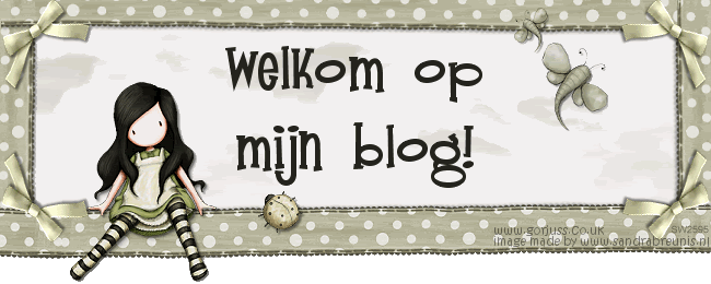 welkom op mijn blog