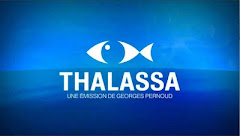 21 MAI: LES ÉPARSES SUR THALASSA