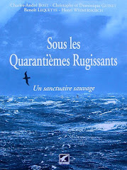 Quatre scientifiques nous racontent un sanctuaire sauvage