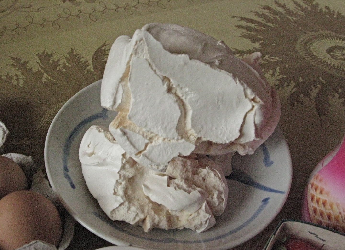 [IMG_1100.JPG]