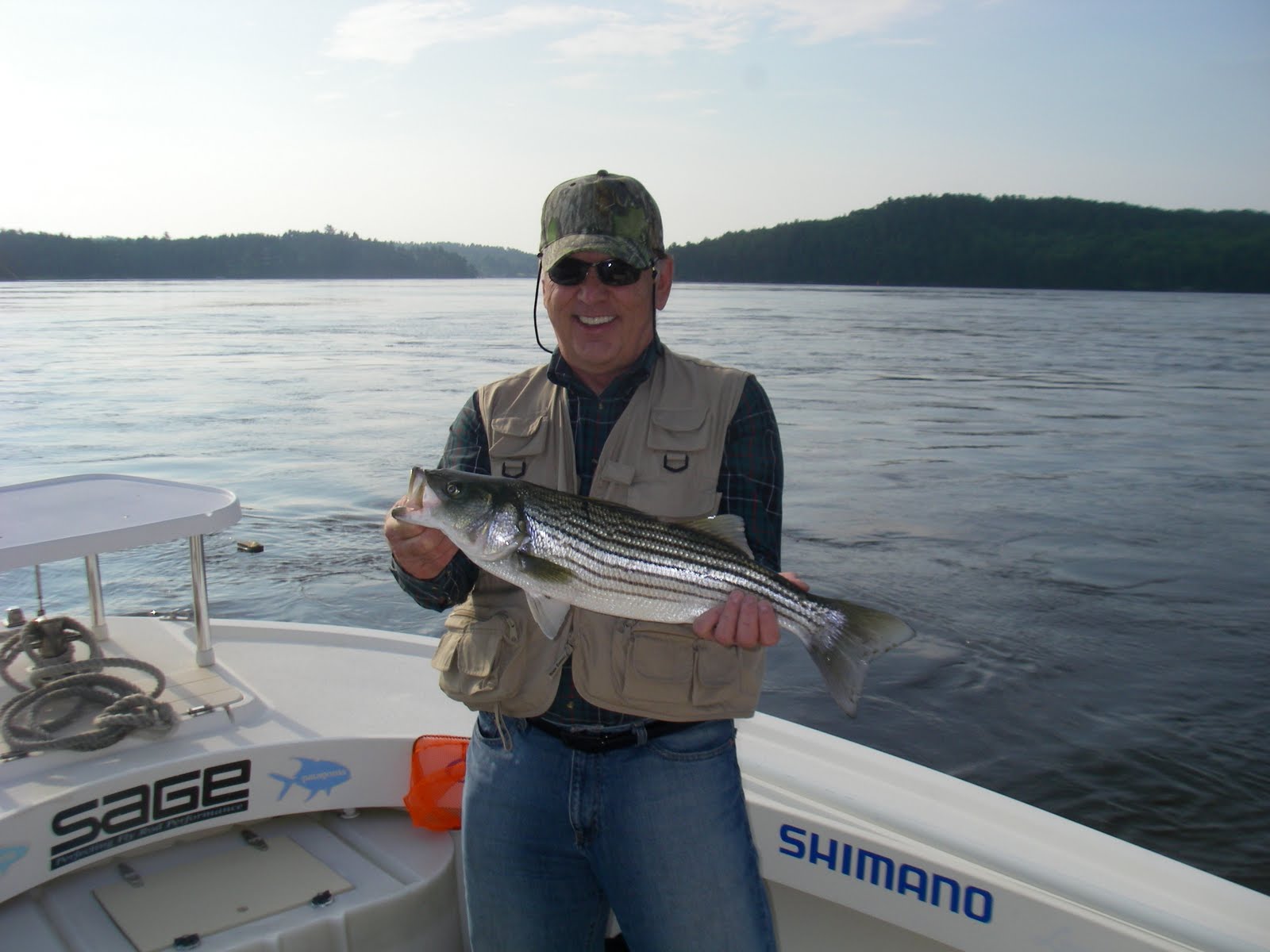 Maine Striper Fishing Charters & Reports Hotline 2076910745 June 2010