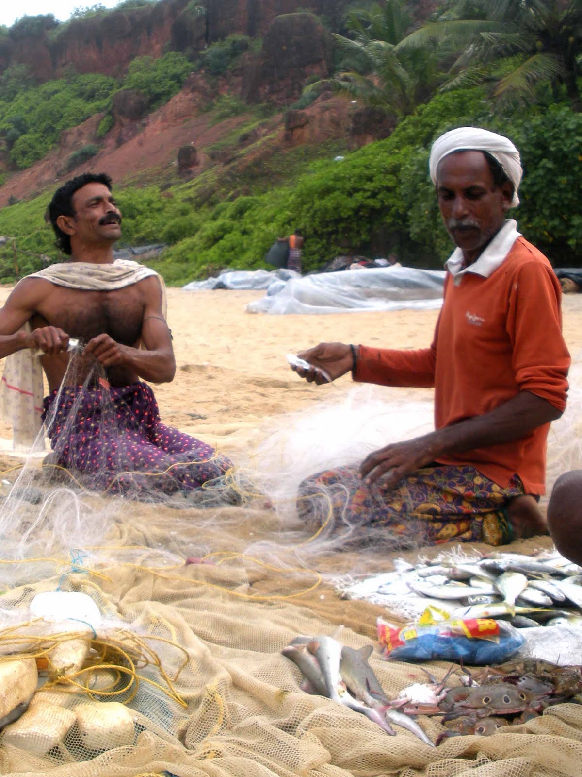 [0Verk+fish+on+beach.jpg]