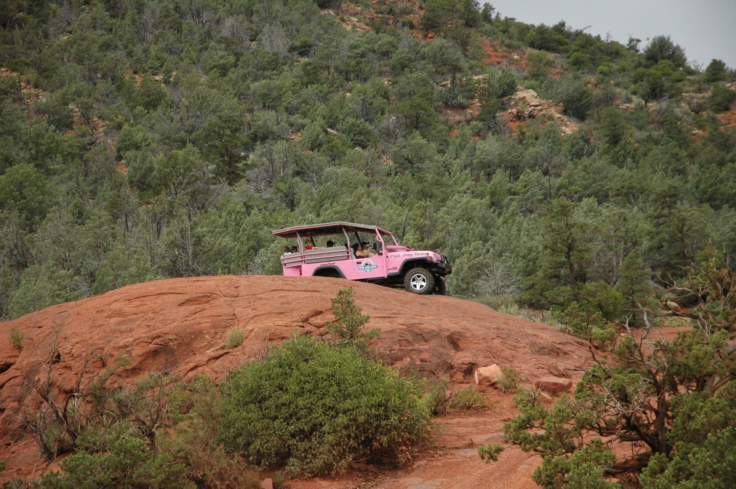 [AZ+09+100+Pink+Jeep+copy.JPG]